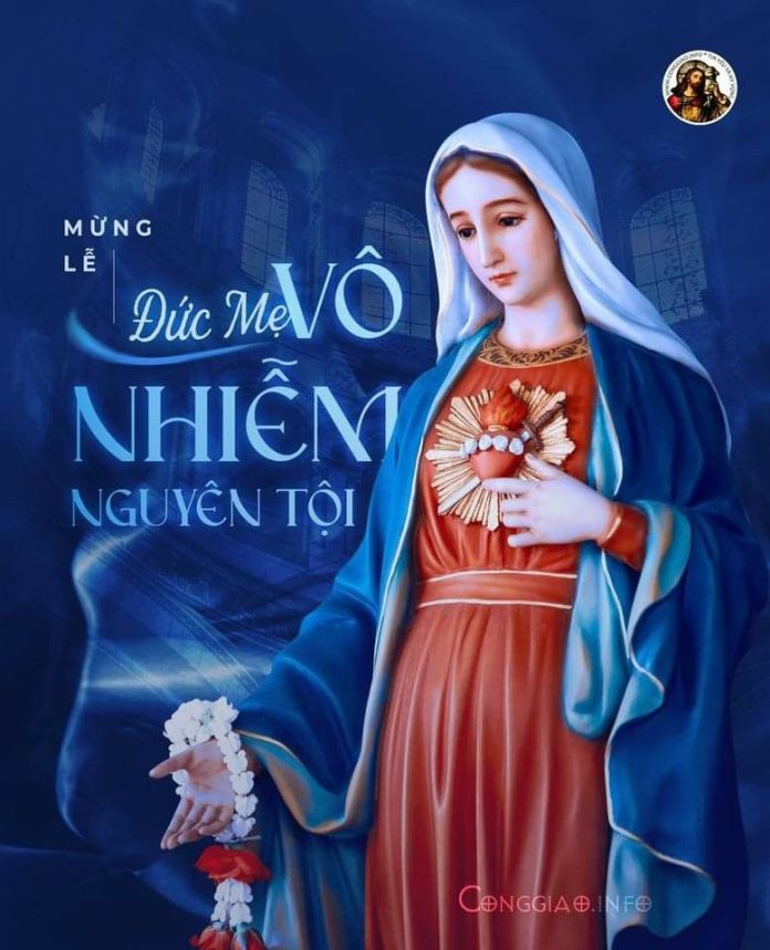Tín điều Đức Mẹ Vô Nhiễm Nguyên Tội có nghĩa là gì?